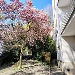 Garden Lejlighed *