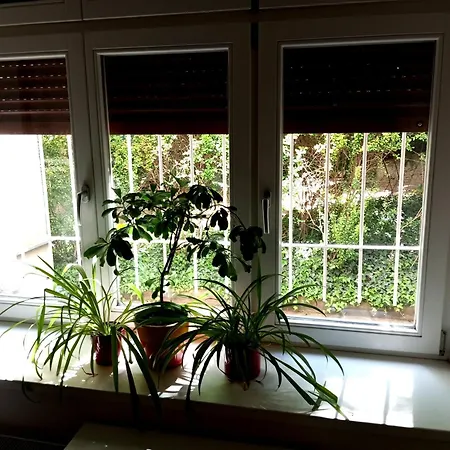 Garden * プラハ